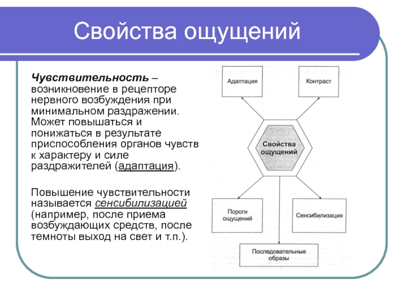 Ощущение психология презентация