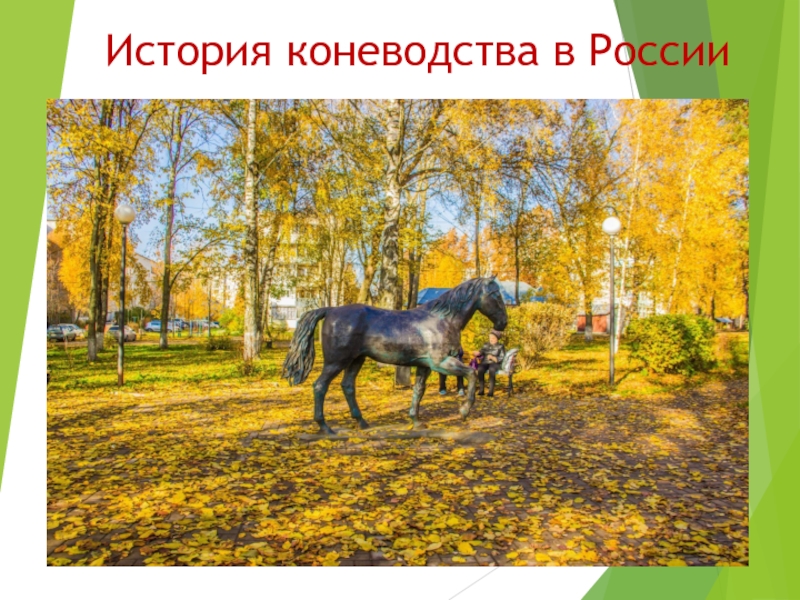 Презентация История коневодства в России