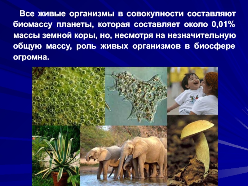 Роль живого в природе. Живые организмы. Живые организмы в биосфере. Роль живых организмов в биосфере. Организмы планеты.