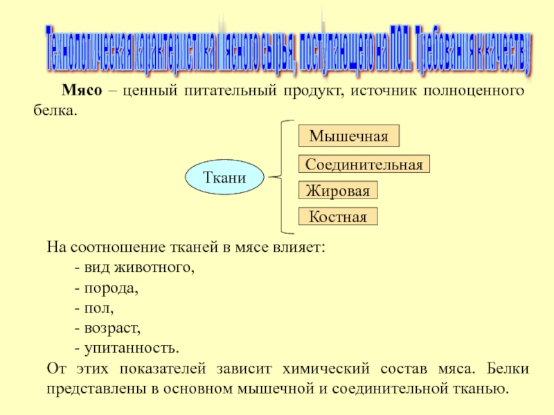 Характеристика мяса. Характеристика сырья мяса. Виды мясного сырья, поступающего на поп?. Характеристика тканей мяса. На соотношение тканей в мясе влияет.