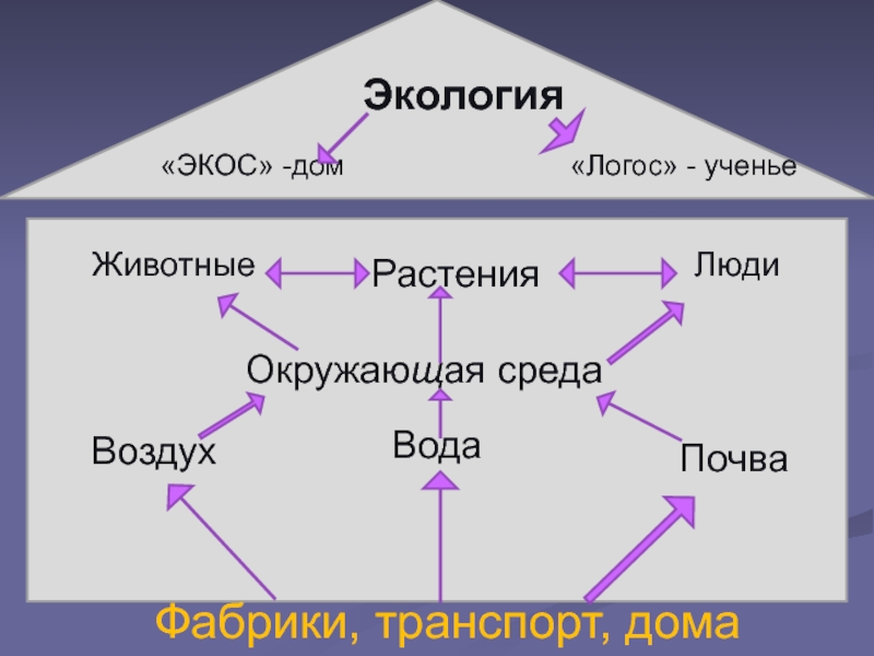 Что такое экология 3 класс окружающий мир презентация школа россии