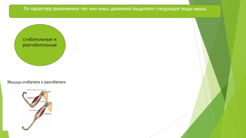 Для выполнения того или иного