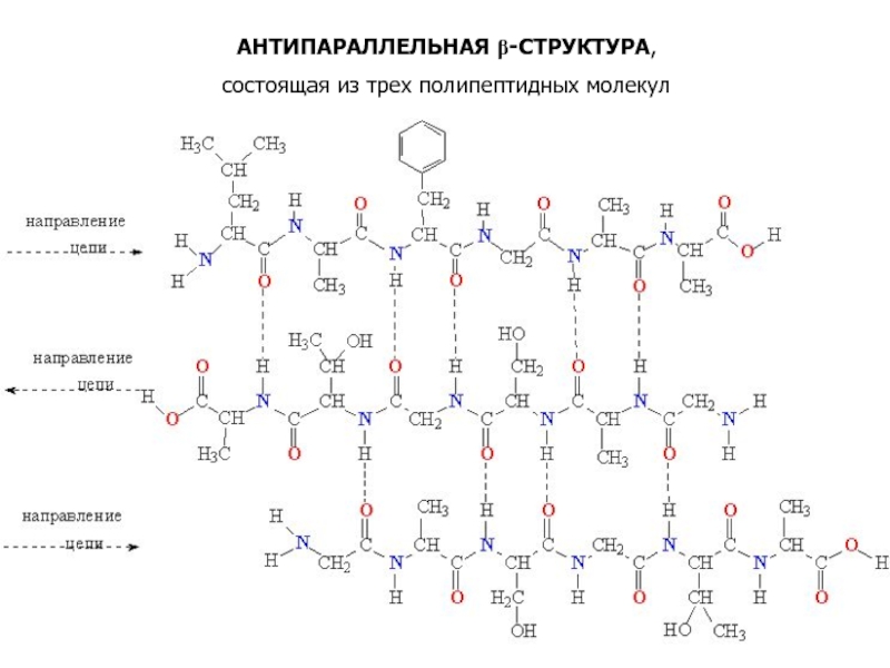 Структура изображения состоящего из мелких точек называется