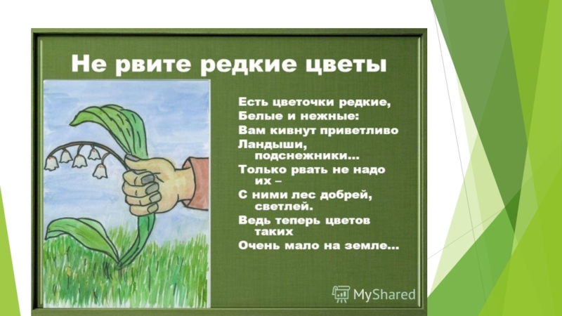 Охрана природы весной картинки