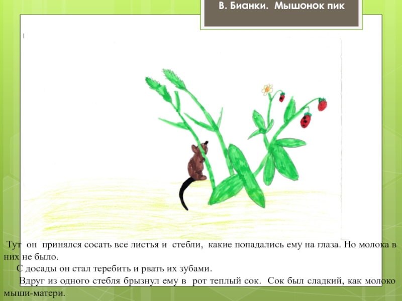 Мышонок пик рисунок к рассказу 3 класс