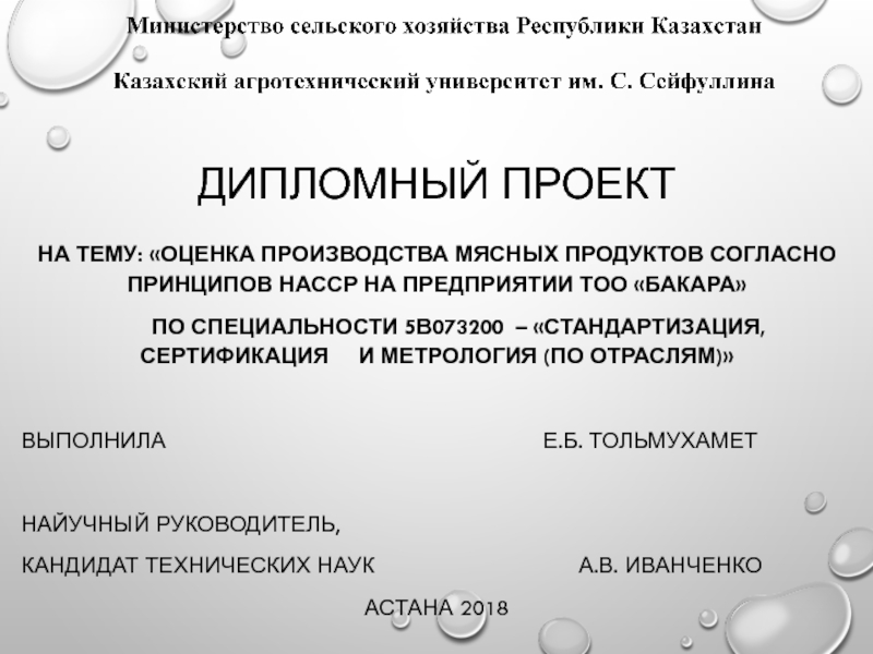 Презентация Дипломный проект