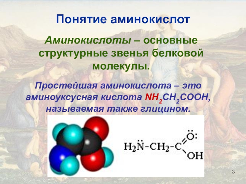 Аминокислоты картинки химия