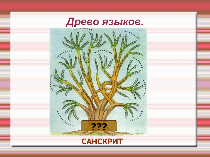 Русское древо. Древо языков. Древо языков мира. Древо языков русский язык. Проект Древо языков.