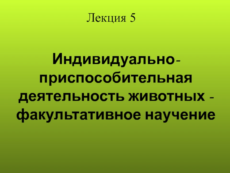 Лекция 5