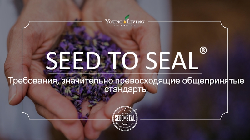 SEED TO SEAL ®