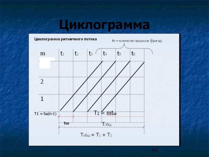 Циклограмма это. Циклограмма. Циклогемам. Циклограмма производственного процесса. Циклограмма разноритмичного потока.