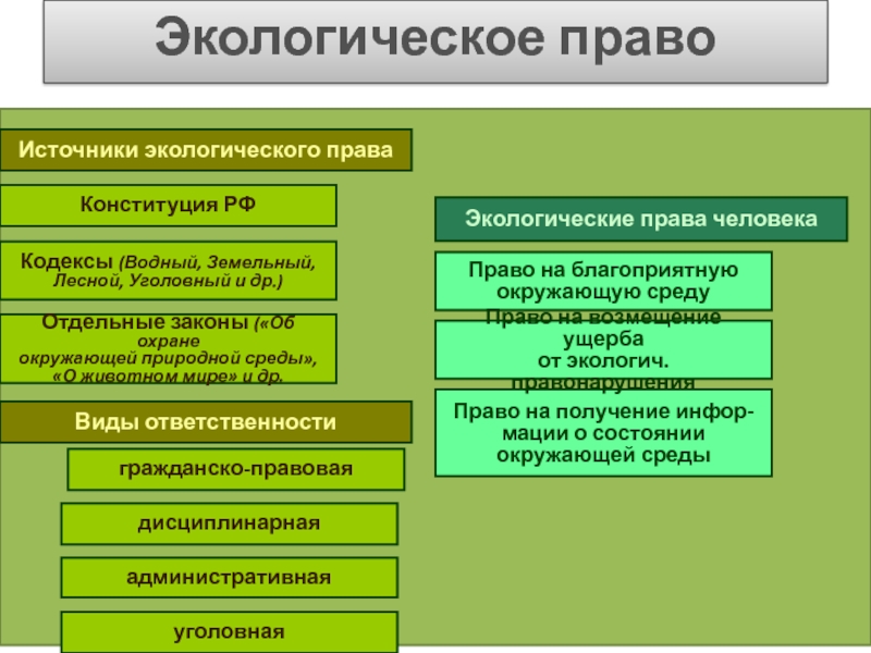 Экологическое право 11 класс презентация боголюбов