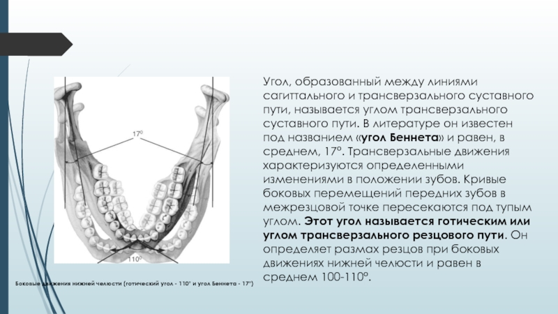 Угол образованный между. Трансверзальные движения нижней челюсти пути углы. Угол трансверзального суставного пути (угол Беннетта).. Суставные углы движения нижней челюсти. Трансверзальный суставной путь и угол.