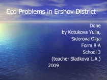Eco Problems in Ershov District