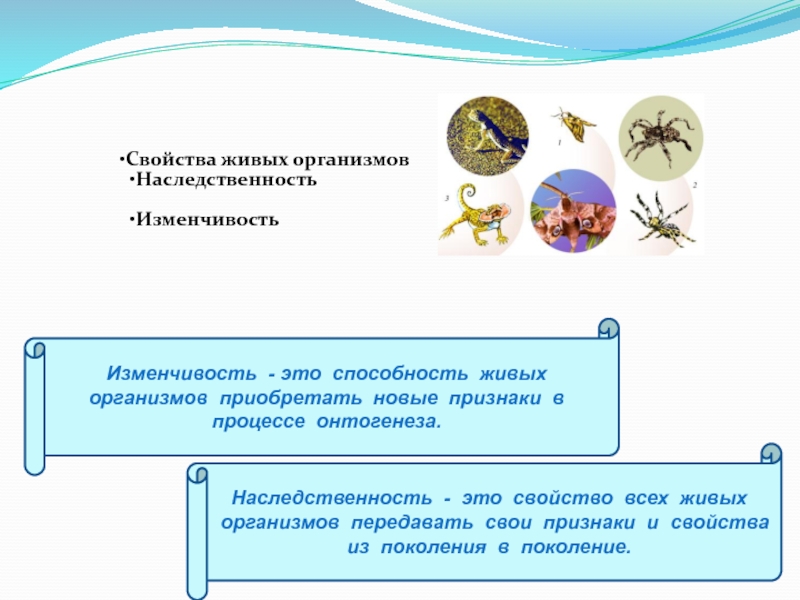 Способность живых организмов приобретать новые