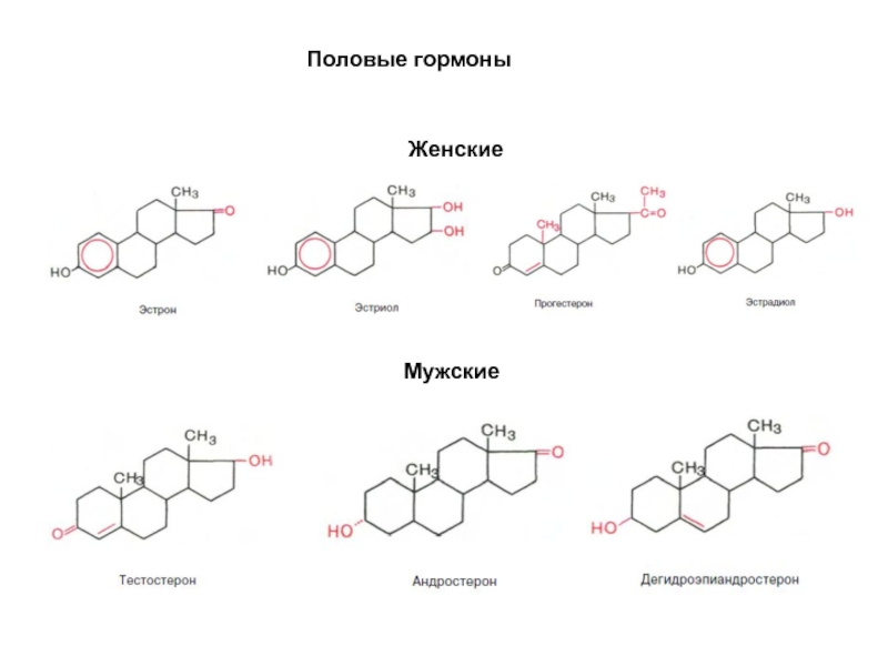 Мужской гор. Половые гормоны строение биохимия. Формулы половых гормонов. Мужские половые гормоны строение. Женские половые гормоны формулы.