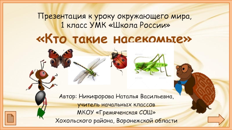 Презентация Кто такие насекомые