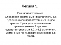 Латинский язык  Имя прилагательное. Словарная форма