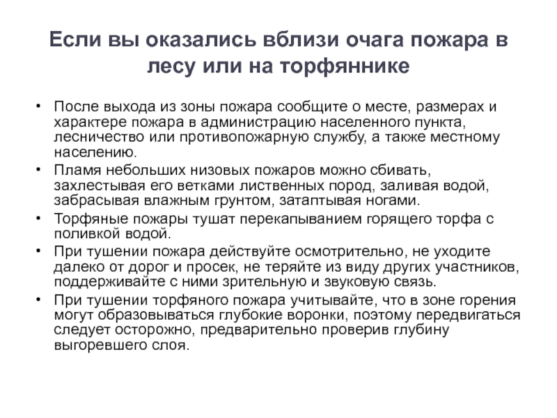 План действий если вы оказались в лесу вблизи очага пожара