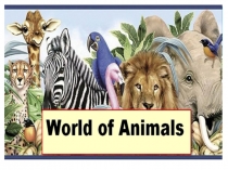 Мир животных