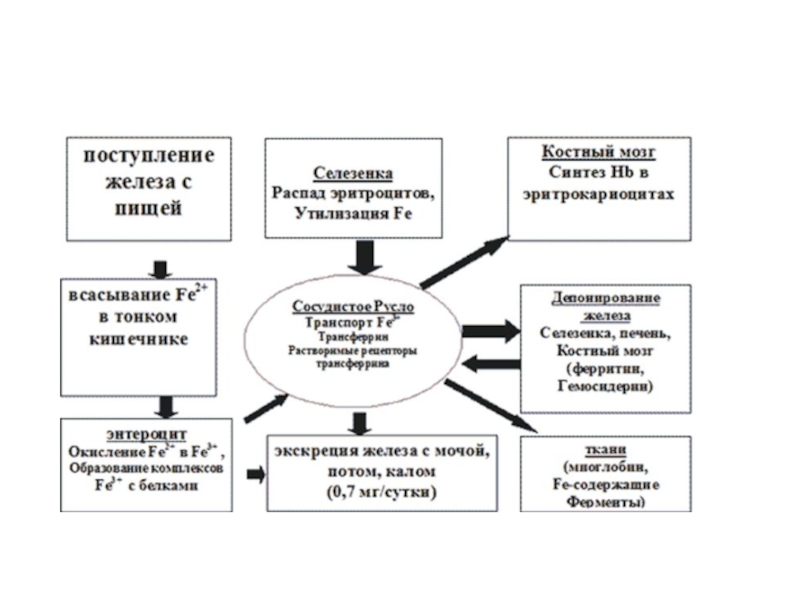 Схема применения железа