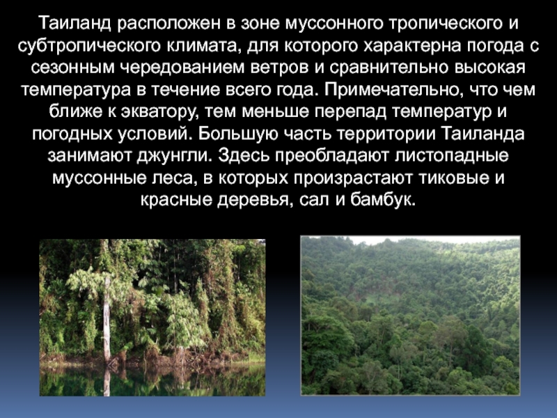 Характеристика переменно влажных лесов. Тропический лес и субтропический лес. Климат в муссонных субтропических лесах. Муссонные леса Евразии климат.