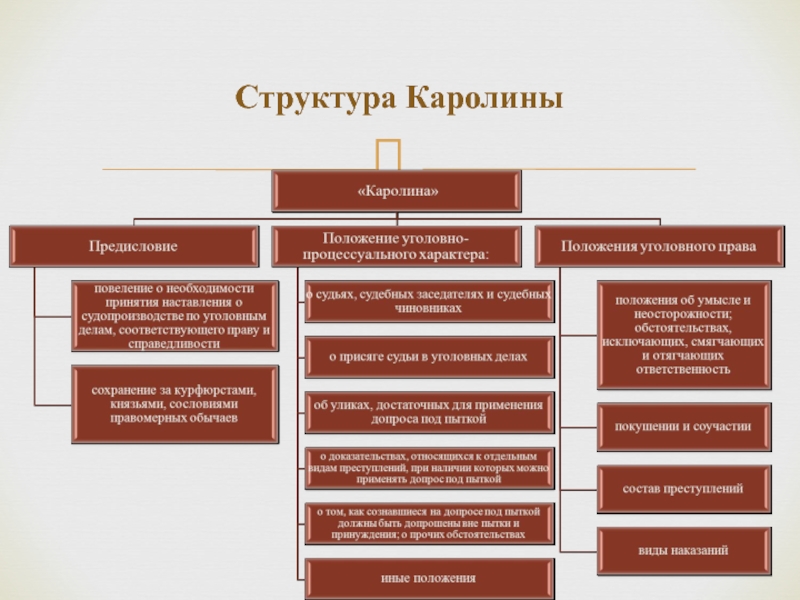 Структура значение. Каролина 1532 общая характеристика. Структура Каролины 1532. Источники Каролины 1532 г. Каролина общая характеристика.