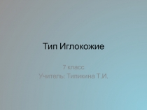 Тип Иглокожие