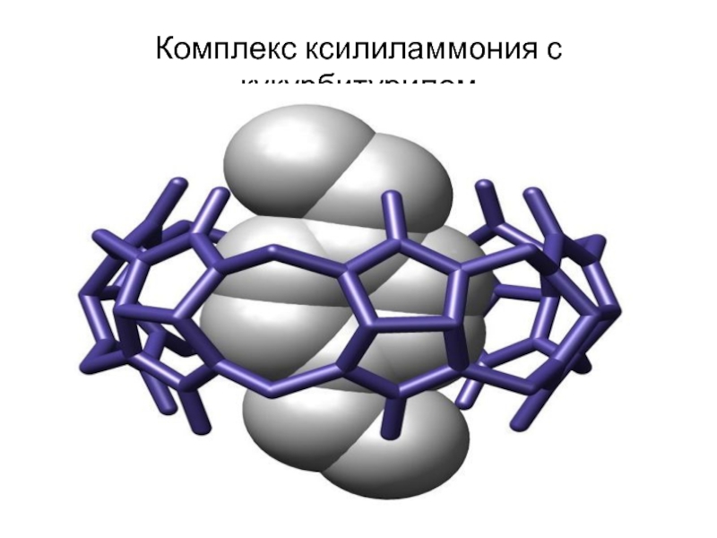 Супрамолекулярные наноструктуры