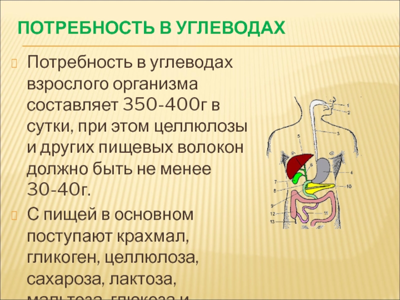 Потребность в углеводах в сутки. Потребность в углеводах. Потребность в углеводах у взрослых. Потребность в углеводах и пищевых волокнах. Потребность в пищевых волокнах в сутки.