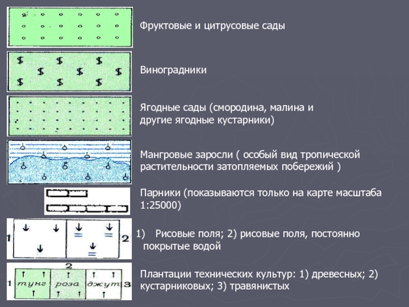 Нарисуйте условные знаки плана местности фруктовый сад и болото