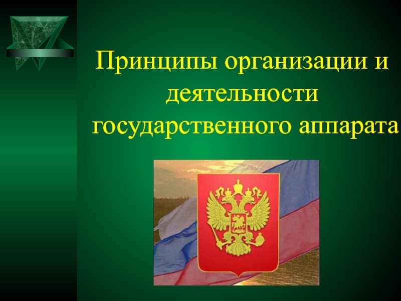 Принципы организации деятельности государственного. Принципы организации и деятельности госаппарата. Принципы деятельности гос аппарата. Принципы организации и функционирования государственного аппарата. Принципы организации и деятельности государства.