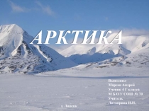 Арктика