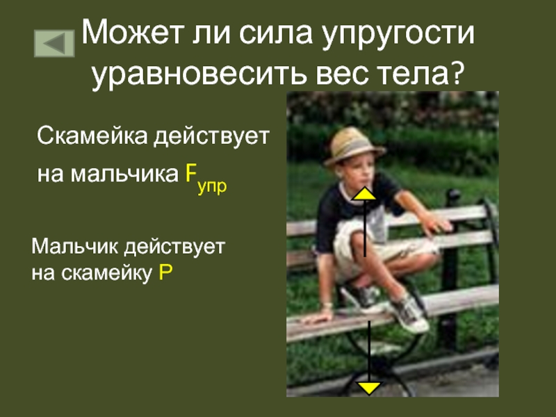 Можно ли сил. Сила упругости уравновешивает вес. Вес тела мальчик на лавочке. Ребенок стоит на скамейке какие силы действуют на. Ребенок стоит на скамейке какие силы действуют на физика.