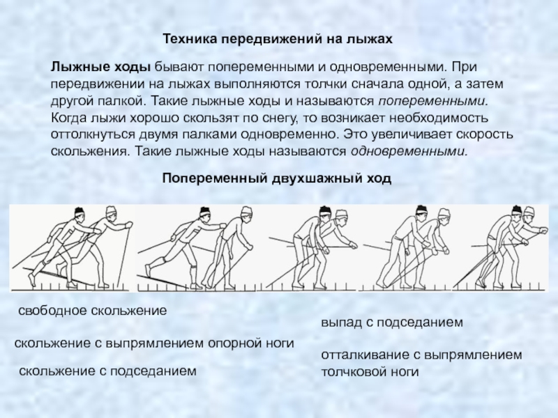 Положения лыжника в начале и в конце какой фазы изображены на рисунке