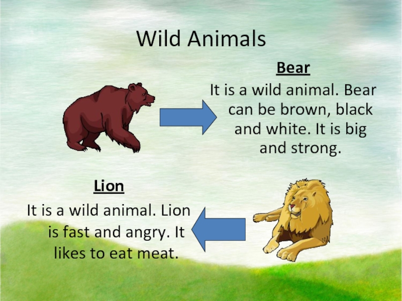 I could not bear. Lions is strong перевод. I can`t Bear it.