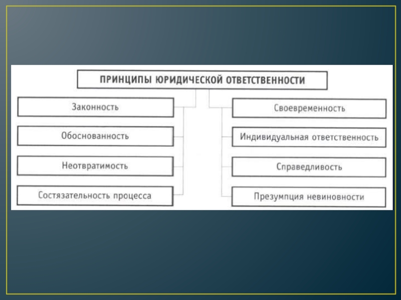 Проект обществознание виновен отвечай