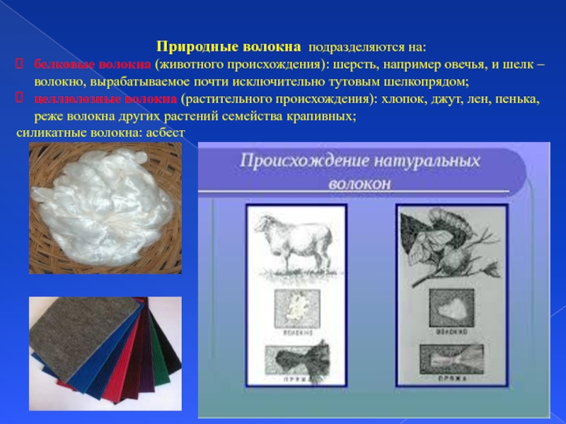 Волокна животного происхождения. Натуральные волокна растительного происхождения джут. Природные целлюлозные волокна. Шелк шерсть хлопок природные волокна. Натуральные животные волокна хлопка.