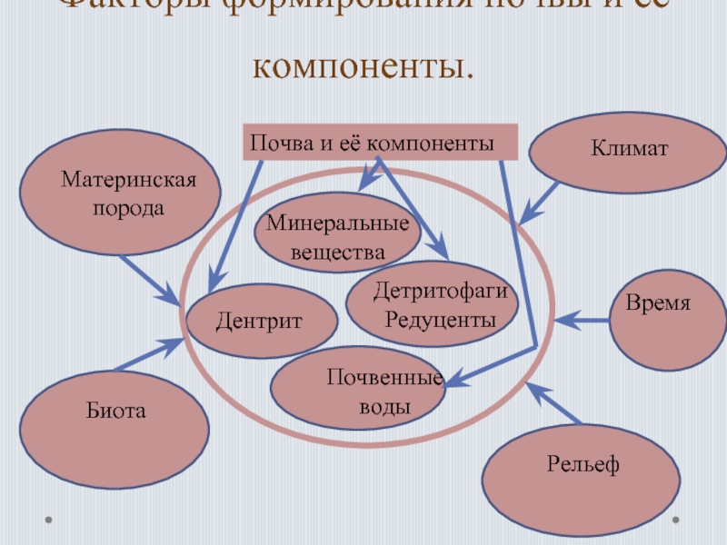 Компоненты почвы