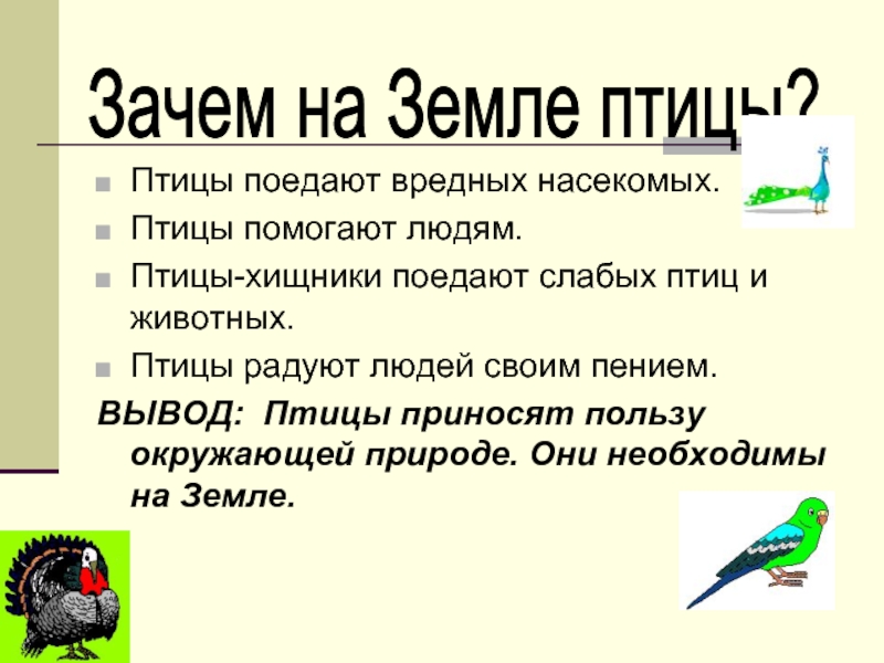 Птицы вывод. Вывод о птицах. Зачем птицы на земле. Польза птиц для человека. Дикие птицы какие пользу приносят.