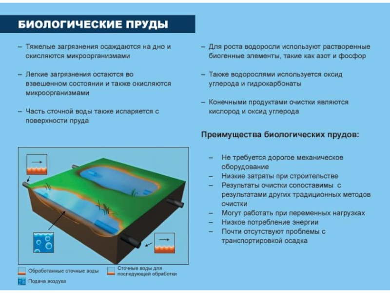 Проект очистки водоема