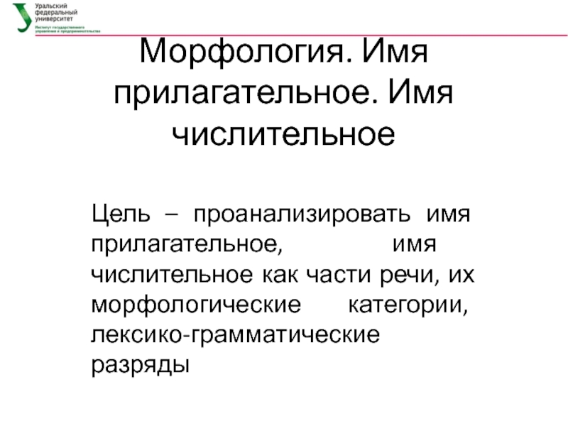 Морфология числительного. Проблематика это в литературе. Лексико-грамматический разряд прилагательных. Острый живот в гинекологии презентация. Острый живот в акушерстве презентация.