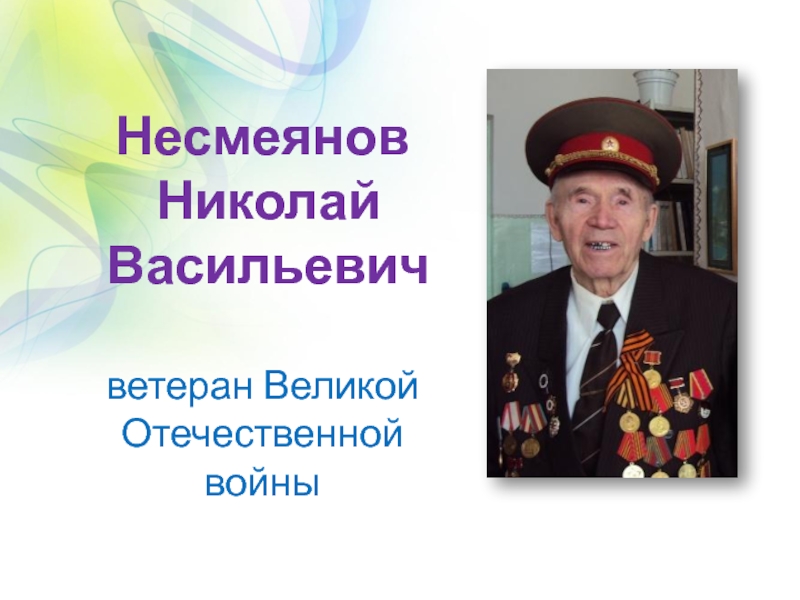 Несмеянов
Николай
Васильевич
ветеран Великой Отечественной войны