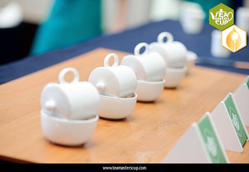 TMC_Presentation_Russian_Extra www.teamasterscup.com www.teamasterscup.com