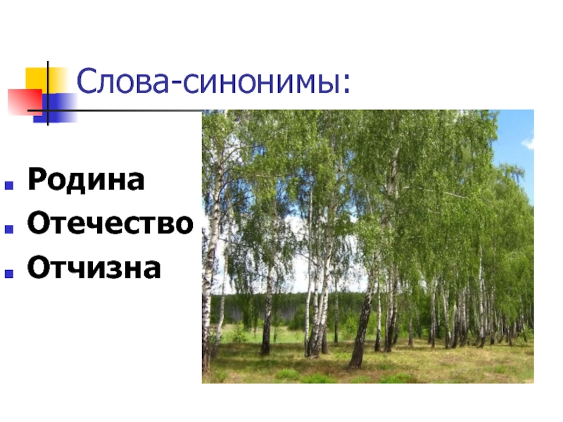 Отчизна отечество. Синонимы к слову Родина. Родина отчизна Отечество это синонимы. Подобрать синонимы к слову Родина. Родина и Отечество синонимы.