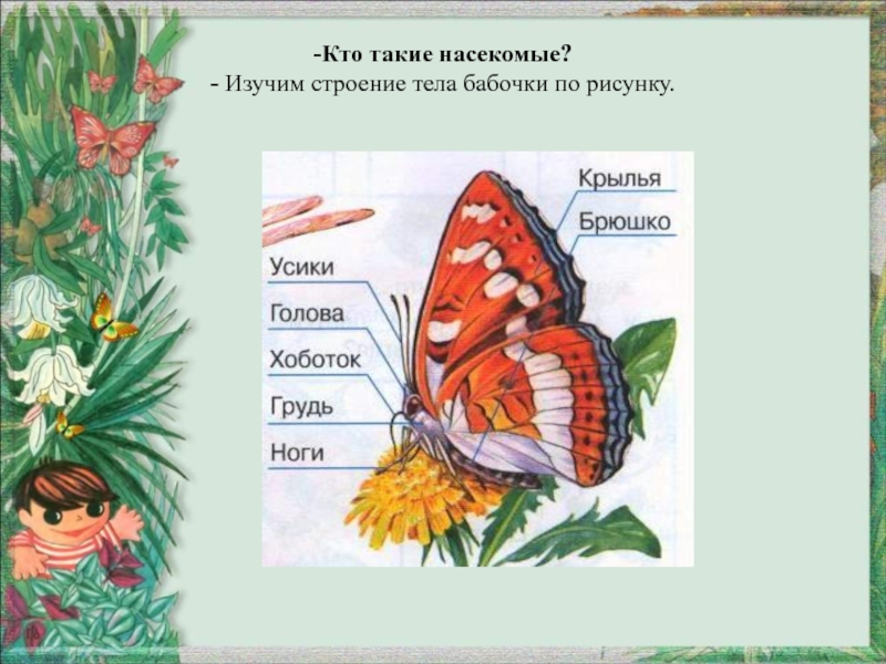 Конспект урока с презентацией 1 класс кто такие насекомые 1 класс