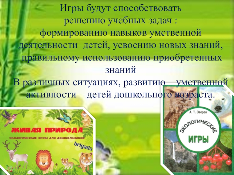Игра как метод экологического образования. Николаева с н методика экологического воспитания дошкольников.