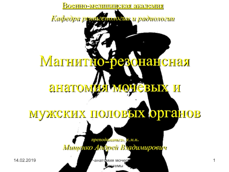 14.02.2019
МР-анатомия мочеполовой системы
1
Магнитно-резонансная анатомия