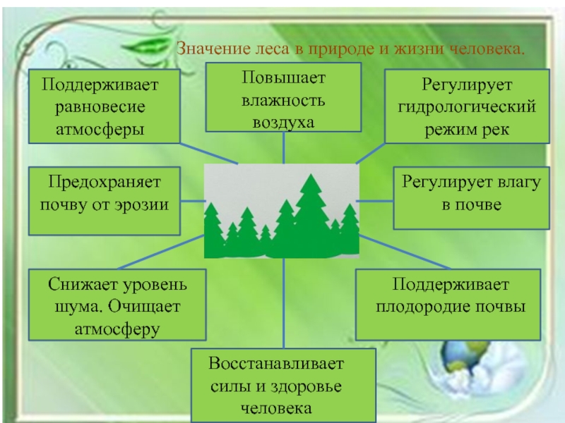 Значение леса в жизни северян схема