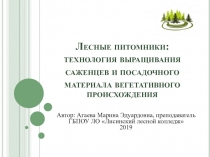 Лесные питомники: технология выращивания саженцев и посадочного материала